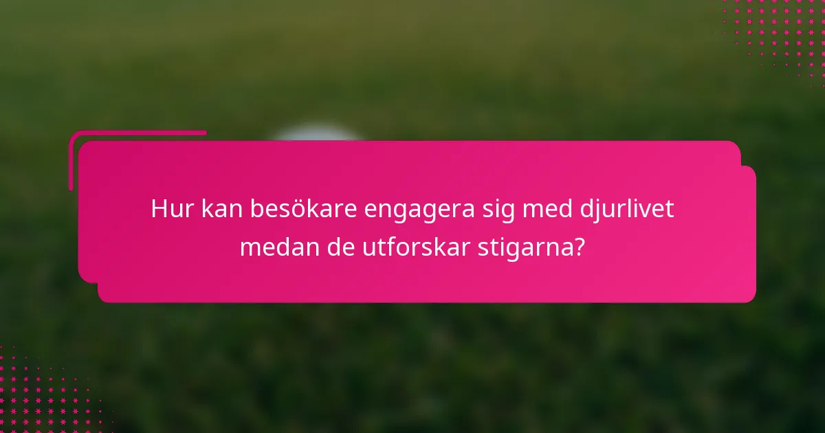 Hur kan besökare engagera sig med djurlivet medan de utforskar stigarna?